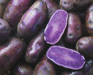 Spacey Purple Potatoes:  Cosmic or Cuckoo?